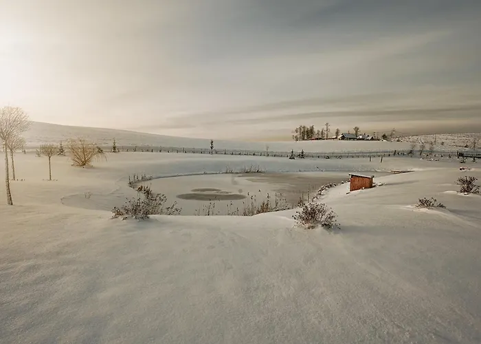 Mazurskie - Niebieska - Siedlisko Na Mazurach Z Bezposrednim Dostepem Do Jeziora Dejguny Oraz Prywatnym Basenem Vila Sterławki Wielkie